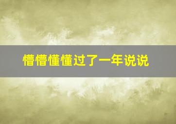 懵懵懂懂过了一年说说