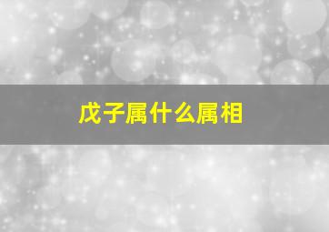 戊子属什么属相