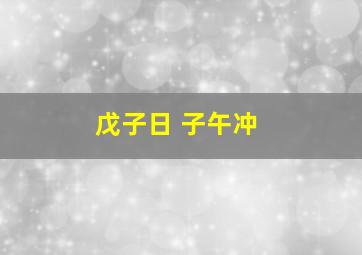 戊子日 子午冲