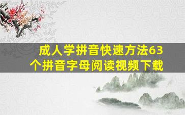 成人学拼音快速方法63个拼音字母阅读视频下载