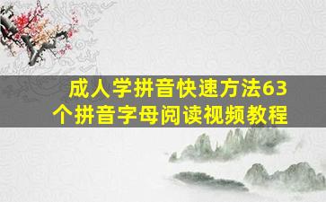 成人学拼音快速方法63个拼音字母阅读视频教程