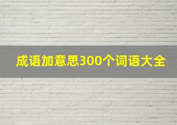 成语加意思300个词语大全