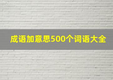 成语加意思500个词语大全