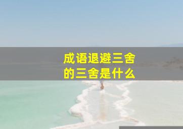 成语退避三舍的三舍是什么