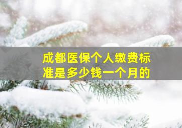 成都医保个人缴费标准是多少钱一个月的