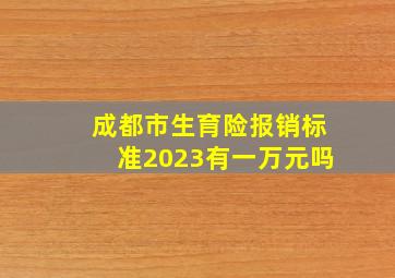 成都市生育险报销标准2023有一万元吗