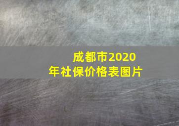 成都市2020年社保价格表图片