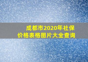 成都市2020年社保价格表格图片大全查询