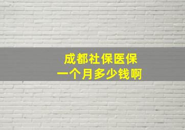 成都社保医保一个月多少钱啊