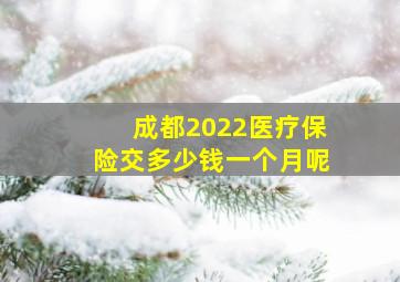 成都2022医疗保险交多少钱一个月呢