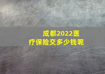 成都2022医疗保险交多少钱呢