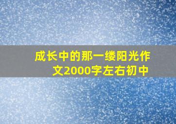 成长中的那一缕阳光作文2000字左右初中