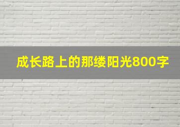 成长路上的那缕阳光800字