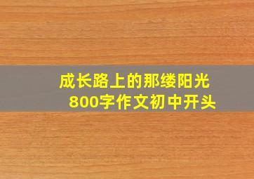 成长路上的那缕阳光800字作文初中开头