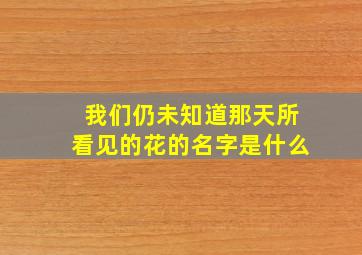 我们仍未知道那天所看见的花的名字是什么