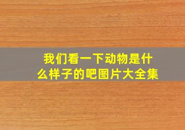 我们看一下动物是什么样子的吧图片大全集