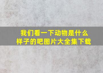 我们看一下动物是什么样子的吧图片大全集下载