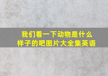 我们看一下动物是什么样子的吧图片大全集英语