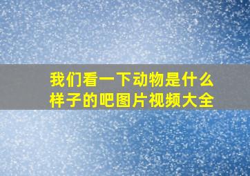 我们看一下动物是什么样子的吧图片视频大全