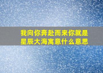 我向你奔赴而来你就是星辰大海寓意什么意思