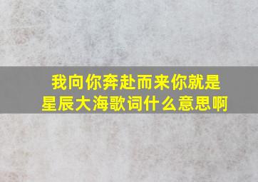 我向你奔赴而来你就是星辰大海歌词什么意思啊