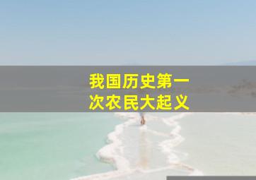 我国历史第一次农民大起义