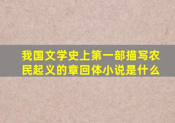 我国文学史上第一部描写农民起义的章回体小说是什么