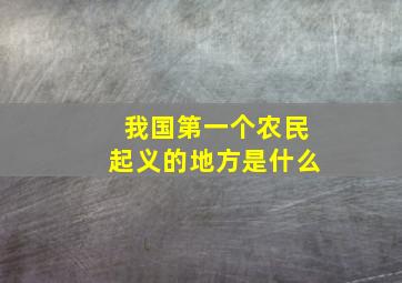 我国第一个农民起义的地方是什么