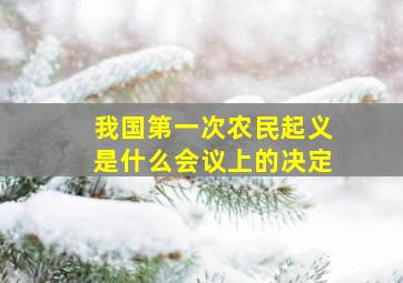 我国第一次农民起义是什么会议上的决定