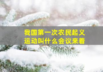 我国第一次农民起义运动叫什么会议来着