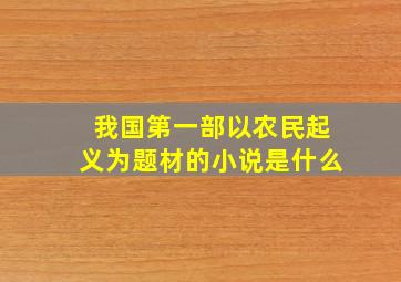 我国第一部以农民起义为题材的小说是什么