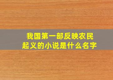 我国第一部反映农民起义的小说是什么名字