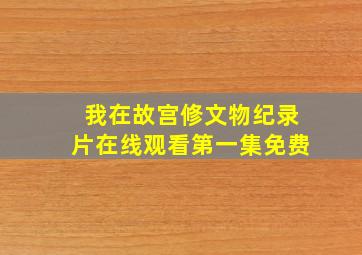 我在故宫修文物纪录片在线观看第一集免费