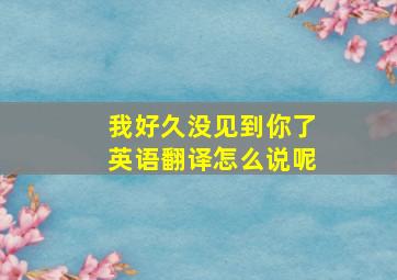 我好久没见到你了英语翻译怎么说呢