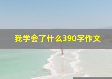 我学会了什么390字作文