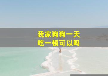 我家狗狗一天吃一顿可以吗