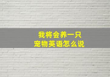 我将会养一只宠物英语怎么说