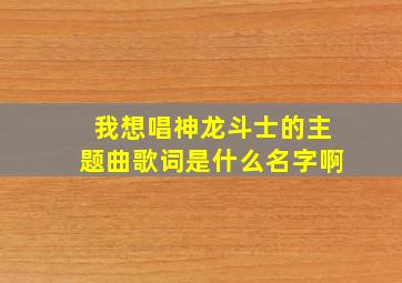 我想唱神龙斗士的主题曲歌词是什么名字啊