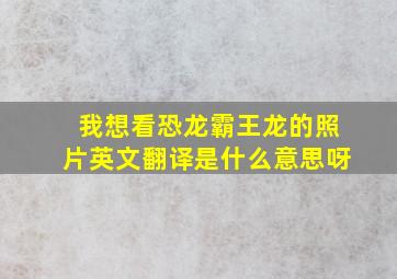 我想看恐龙霸王龙的照片英文翻译是什么意思呀