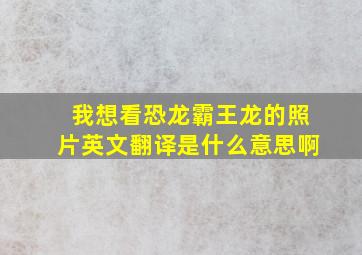 我想看恐龙霸王龙的照片英文翻译是什么意思啊