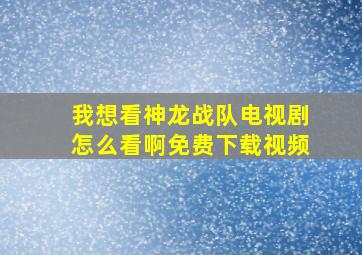 我想看神龙战队电视剧怎么看啊免费下载视频