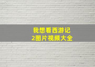 我想看西游记2图片视频大全