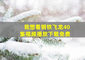 我想看钢铁飞龙40集视频播放下载免费