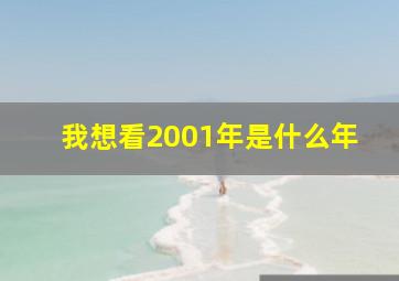 我想看2001年是什么年