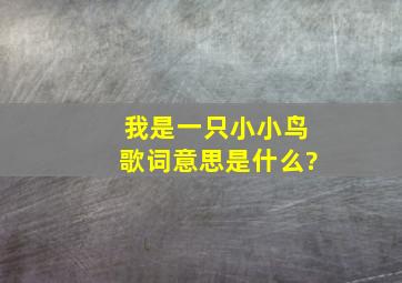 我是一只小小鸟歌词意思是什么?