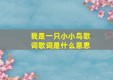 我是一只小小鸟歌词歌词是什么意思