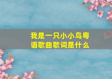 我是一只小小鸟粤语歌曲歌词是什么