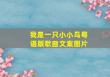 我是一只小小鸟粤语版歌曲文案图片