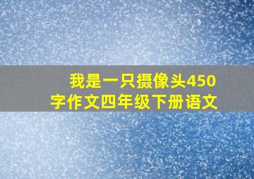 我是一只摄像头450字作文四年级下册语文