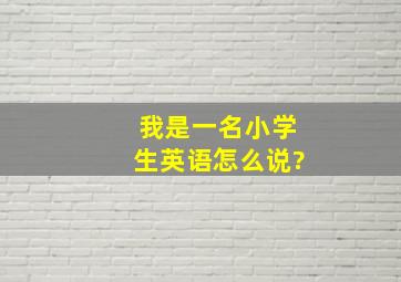 我是一名小学生英语怎么说?